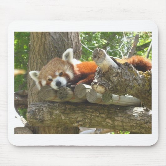 Tapis De Souris panda rouge (Devant)