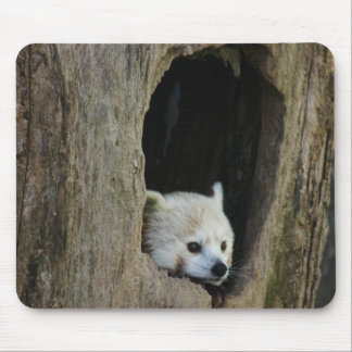 Tapis De Souris Panda rouge