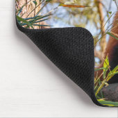 Tapis De Souris Panda rouge (Coin)