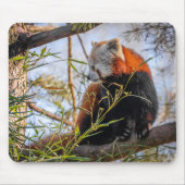 Tapis De Souris Panda rouge (Devant)