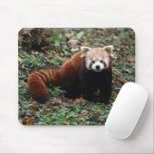 Tapis De Souris Panda rouge (Avec souris)