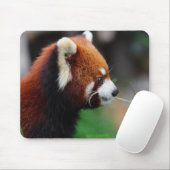 Tapis De Souris Panda rouge (Avec souris)