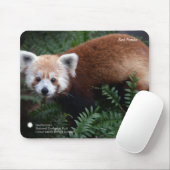 Tapis De Souris Panda rouge de Smithsonien | (Avec souris)