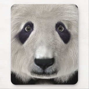 Tapis De Souris Panda roux