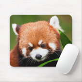 Tapis De Souris Panda roux mignon (Avec souris)