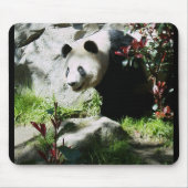 Tapis De Souris Panda Smile (Devant)