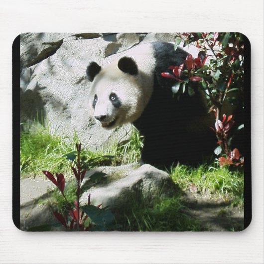 Tapis De Souris Panda Smile (Devant)