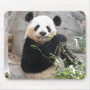Tapis De Souris Panda Snack