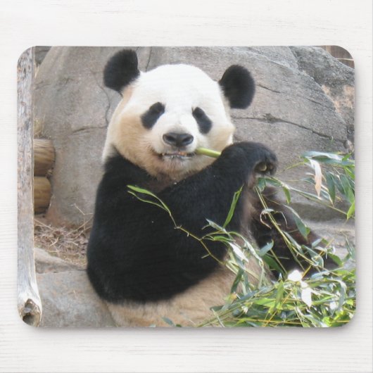 Tapis De Souris Panda Snack (Devant)
