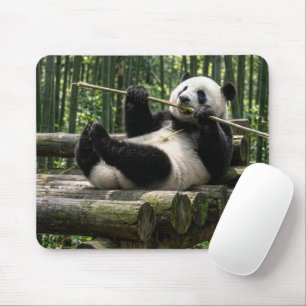 Tapis De Souris Panda sur une plateforme de bois