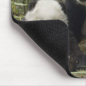 Tapis De Souris pandas (Coin)