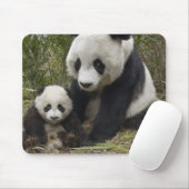 Tapis De Souris pandas (Avec souris)
