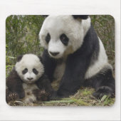 Tapis De Souris pandas (Devant)
