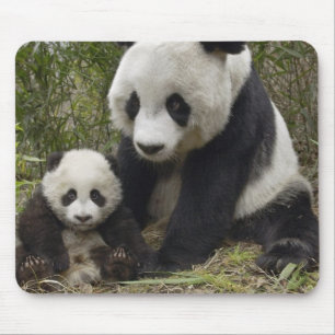 Tapis De Souris pandas