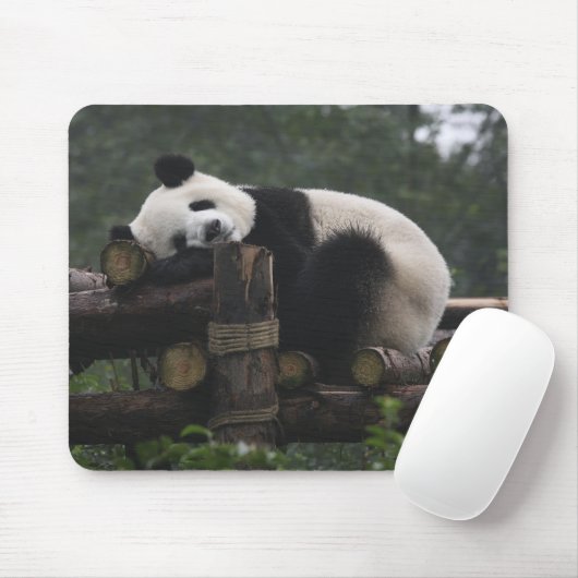 Tapis De Souris pandas géants à la Protection du panda géant (Avec souris)