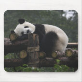 Tapis De Souris pandas géants à la Protection du panda géant (Devant)