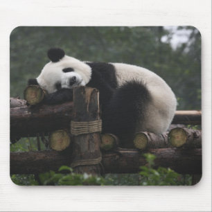 Tapis De Souris pandas géants à la Protection du panda géant