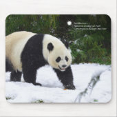Tapis De Souris Pandas géants de Smithsonien | dans la neige (Devant)