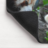 Tapis De Souris Pandas rouges (Coin)