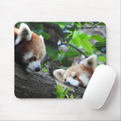 Tapis De Souris Pandas rouges (Avec souris)