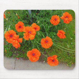 Tapis De Souris Panier à souris à fleurs de pavot oriental