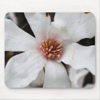 Tapis De Souris Panier à souris Star Magnolia