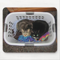 Panier de blanchisserie Kitties