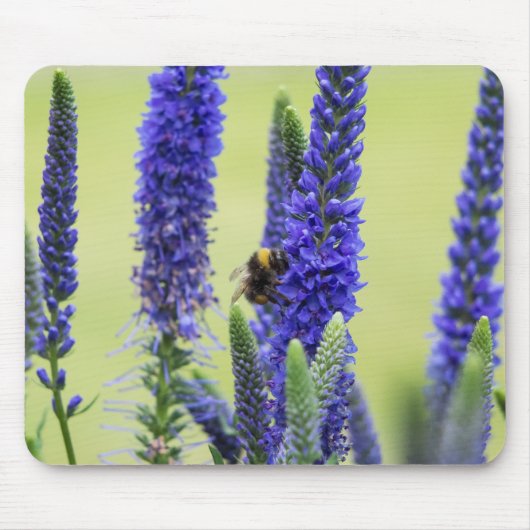 Tapis De Souris Panier de souris (Devant)