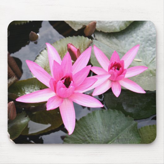 Tapis De Souris Panier de souris (Devant)