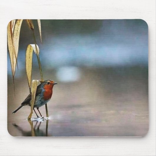 Tapis De Souris Panier de souris (Devant)