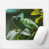 Tapis De Souris Panier de souris Chameleon Vert (Avec souris)