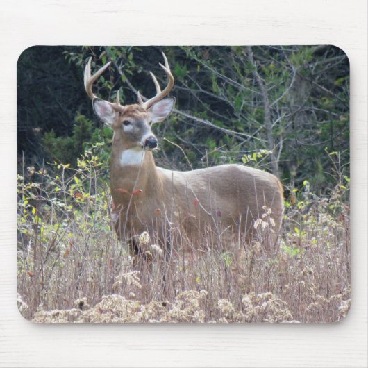 Tapis De Souris Panier de souris de 9 po x 8 po (Devant)