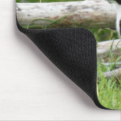 Tapis De Souris Panier de souris de chat de pays (Coin)