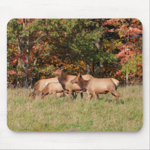 Tapis De Souris Panier de souris d'Elk