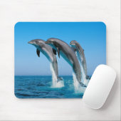 Tapis De Souris Panier de souris Dolphins (Avec souris)