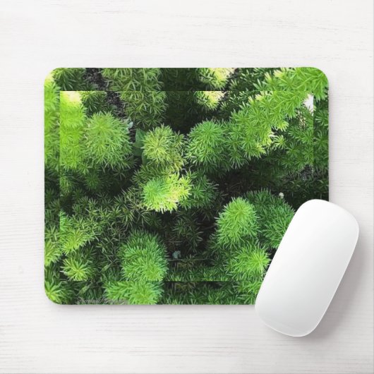 Tapis De Souris Panier de souris Green Fern (Avec souris)