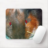 Tapis De Souris Panier de souris Hamster (Avec souris)