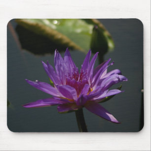 Tapis De Souris Panier de souris Nénuphar Lotus violet