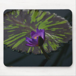 Tapis De Souris Panier de souris Nénuphar Lotus violet