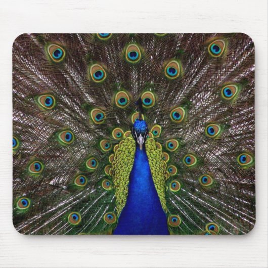 Tapis De Souris Panier de souris Peacock (Devant)