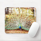 Tapis De Souris Panier de souris Peacock (Avec souris)