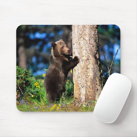 Tapis De Souris Panier de souris pour oursons Grizzly de l'Alaska (Avec souris)