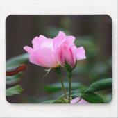 Tapis De Souris Panier de souris Rose de Knockout (Devant)