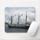 Tapis De Souris Panier de souris Silva (Avec souris)