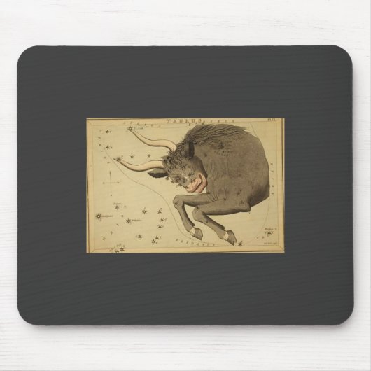 Tapis De Souris Panier de souris Taurus (Devant)