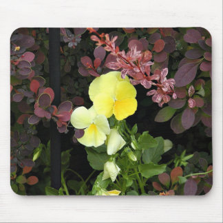 Tapis De Souris panneaux jaunes