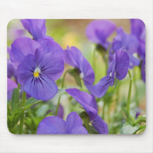 Tapis De Souris Panser Violet Panier (Devant)