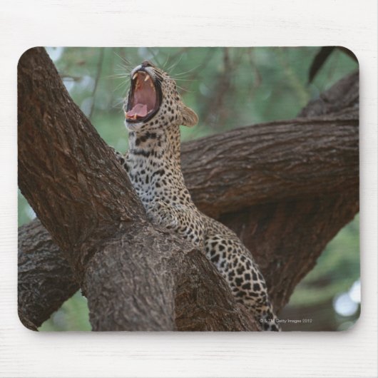 Tapis De Souris Panther (Devant)