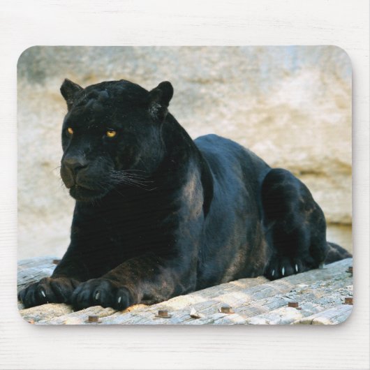 Tapis De Souris Panthère noire (Devant)
