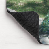 Tapis De Souris paon (Coin)